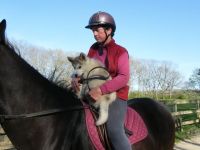 Trav Takes the Reins