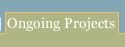 Ongoing Projects